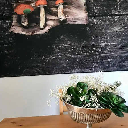 Gæstehus Boavista Yourhome
