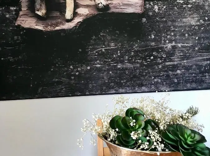 Гостевой дом Boavista Yourhome