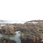 게스트하우스 Boavista Yourhome *
