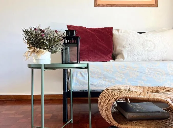 Boavista Yourhome 게스트하우스 포르투