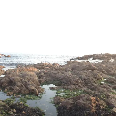 Гостевой дом Boavista Yourhome *