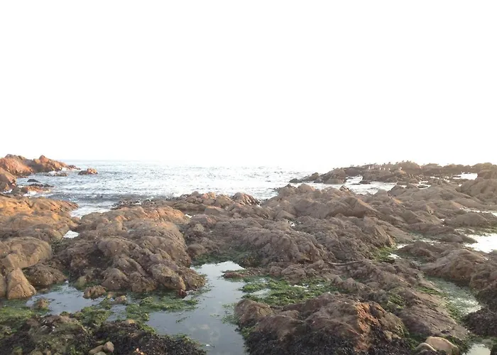 Konukevi Boavista Yourhome *